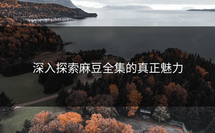 深入探索麻豆全集的真正魅力